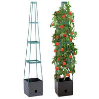 PFLANZENTOPF mit Tomatenstütze 150 cm - Schwarz, Kunststoff (25/25/150cm) - Maximex