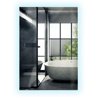 LED-SPIEGEL 100x70 cm Rechteckig Kaltweiß 6000K - Transparent, Glas (70/100/0.4cm) - Wallfluent