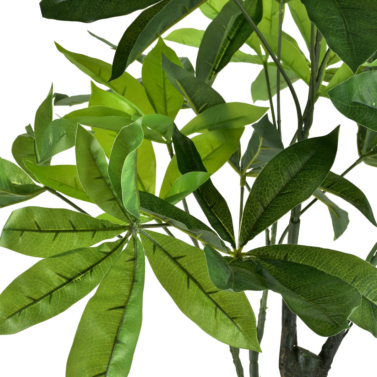 KUNSTBLUME Viridis Grün 15x14x95 cm Kunststoff - Grün, Kunststoff (95cm) - Mondex