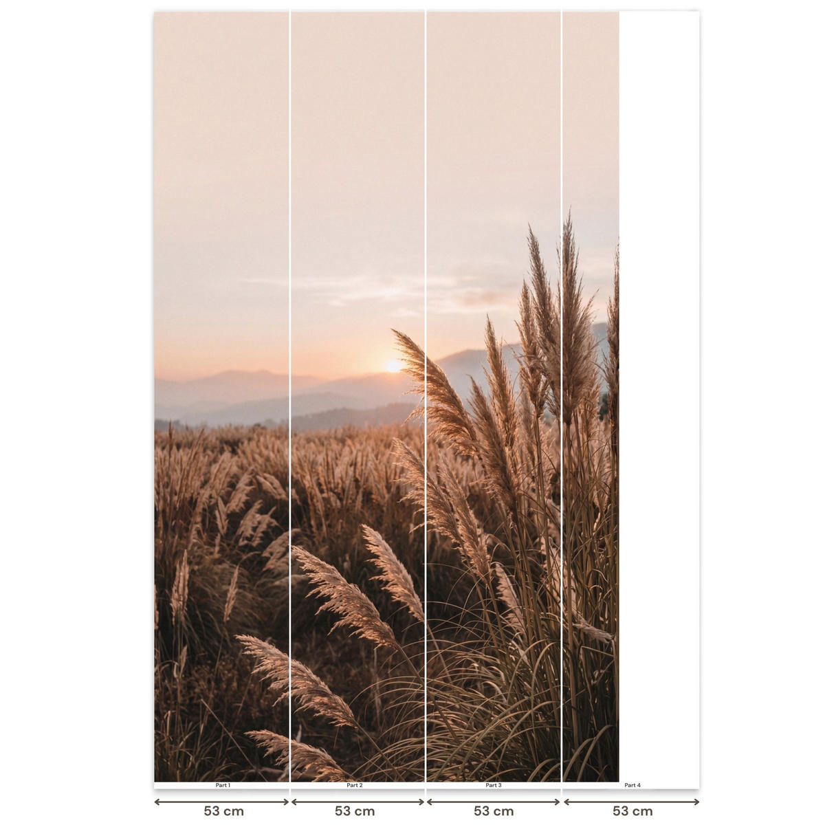 TAPETE - Gras - Feld - Sonne - Natur - 180x300 cm - Sandfarben, Papier (180/300cm) - OnlyWow
