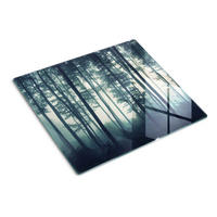 GLASPLATTE 60x52 cm Wald im Nebel - Schwarz, Glas (60/0.4/52cm) - TULUP