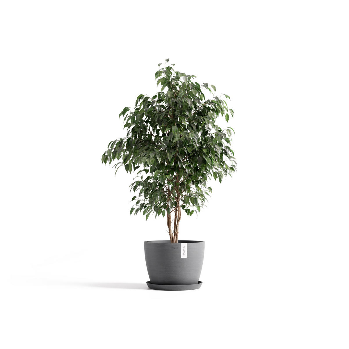 BLUMENTOPF Stockholm Grau - Grau, Kunststoff (31/23.5cm) - Ecopots