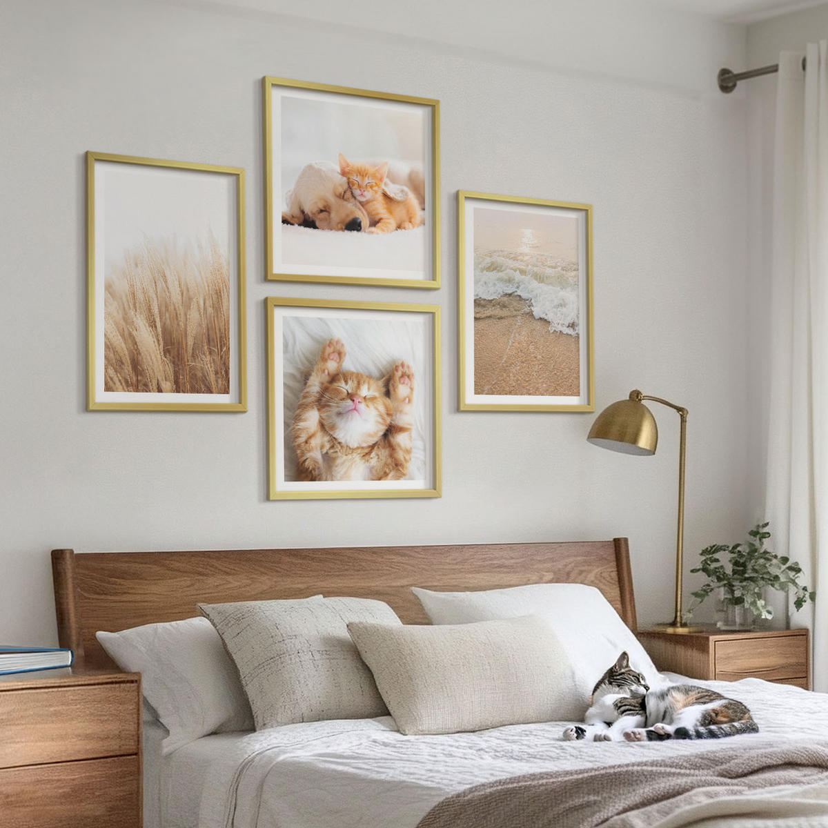 BILDER SET 4er Set - 50x50 cm & 40x60 cm Goldrahmen - Niedliche Tiere, Katzen, Hunde, Strand - Goldfarben, Kunststoff (50/50cm) - TULUP