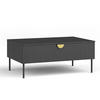 COUCHTISCH Brunelli 1T Dunkelgrau 100/41,6/66 cm - Dunkelgrau/Schwarz, Holzwerkstoff/Metall (66/100/41.6cm) - AX Living