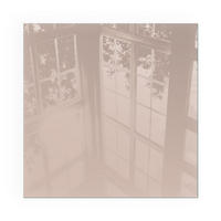 GLASPLATTE für Kamin 50x50 cm - Orange, Glas (50/50/0.4cm) - TULUP