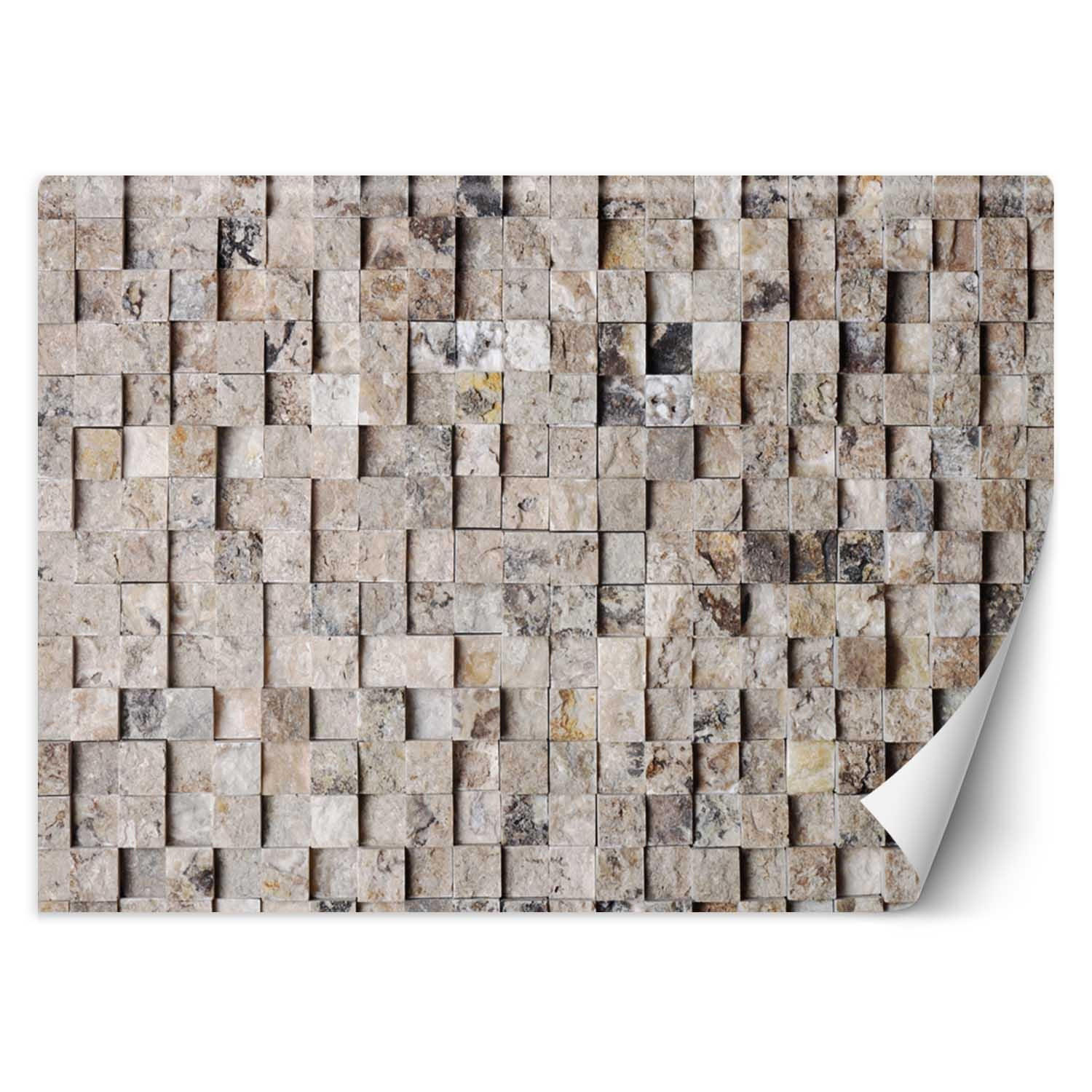 Kunstloft Vliestapete Beige 350x245 cm
