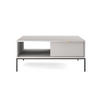 COUCHTISCH Vellore Grau 104/68/46 cm - Goldfarben/Schwarz, Holzwerkstoff/Metall (68/104/46cm) - Selsey