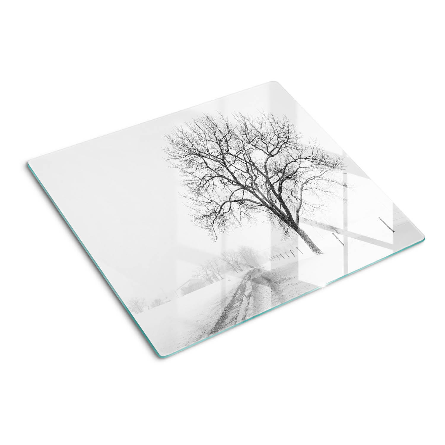 GLASPLATTE 60x52 cm Winterbaum - Weiß, Glas (60/0.4/52cm) - TULUP
