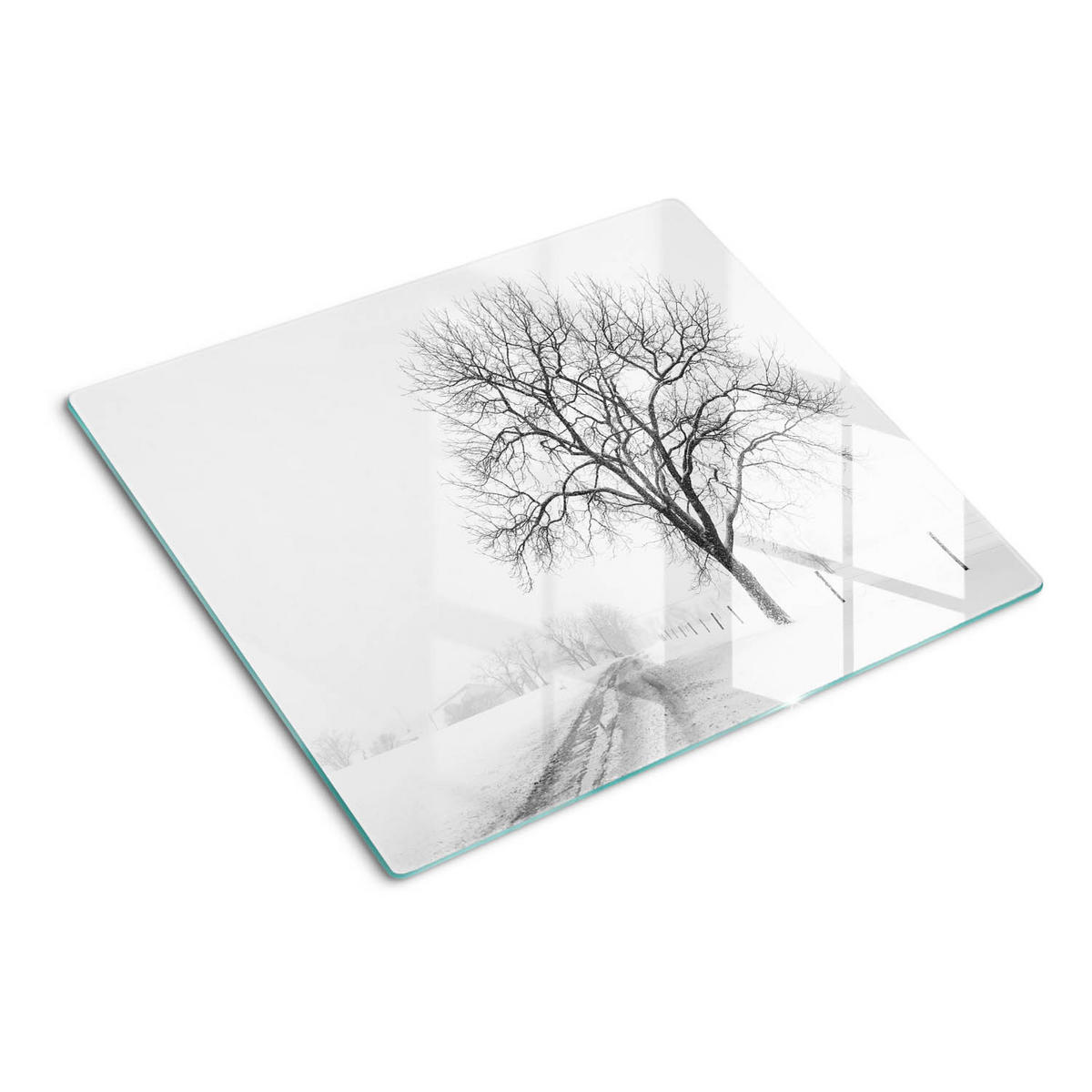 GLASPLATTE 60x52 cm Winterbaum - Weiß, Glas (60/0.4/52cm) - TULUP