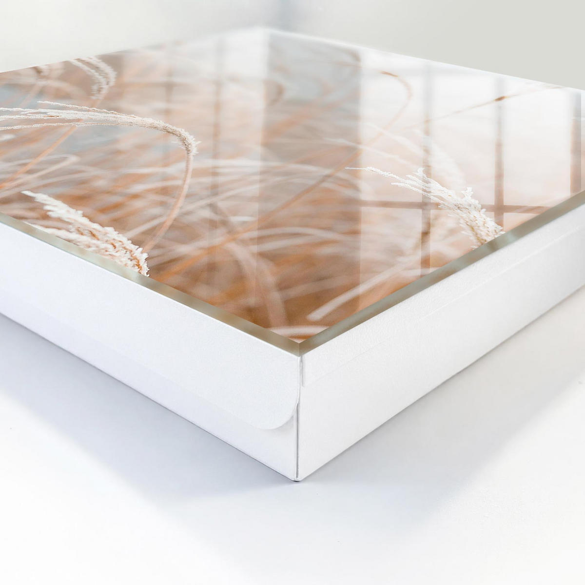 SCHLÜSSELBOX Weiß 30x30 cm – Türöffnung nach rechts - Herbstliche Maiskolben - Beige, Metall (30/30/5cm) - TULUP
