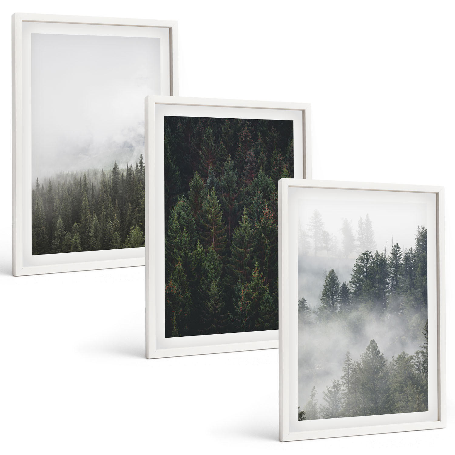BILDER SET 3er Set - 40x60 cm Weißer Rahmen - Grüne Wälder Nebel Natur - Weiß, Kunststoff (40/60cm) - TULUP