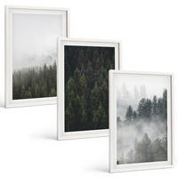 BILDER SET 3er Set - 40x60 cm Weißer Rahmen - Grüne Wälder Nebel Natur - Weiß, Kunststoff (40/60cm) - TULUP
