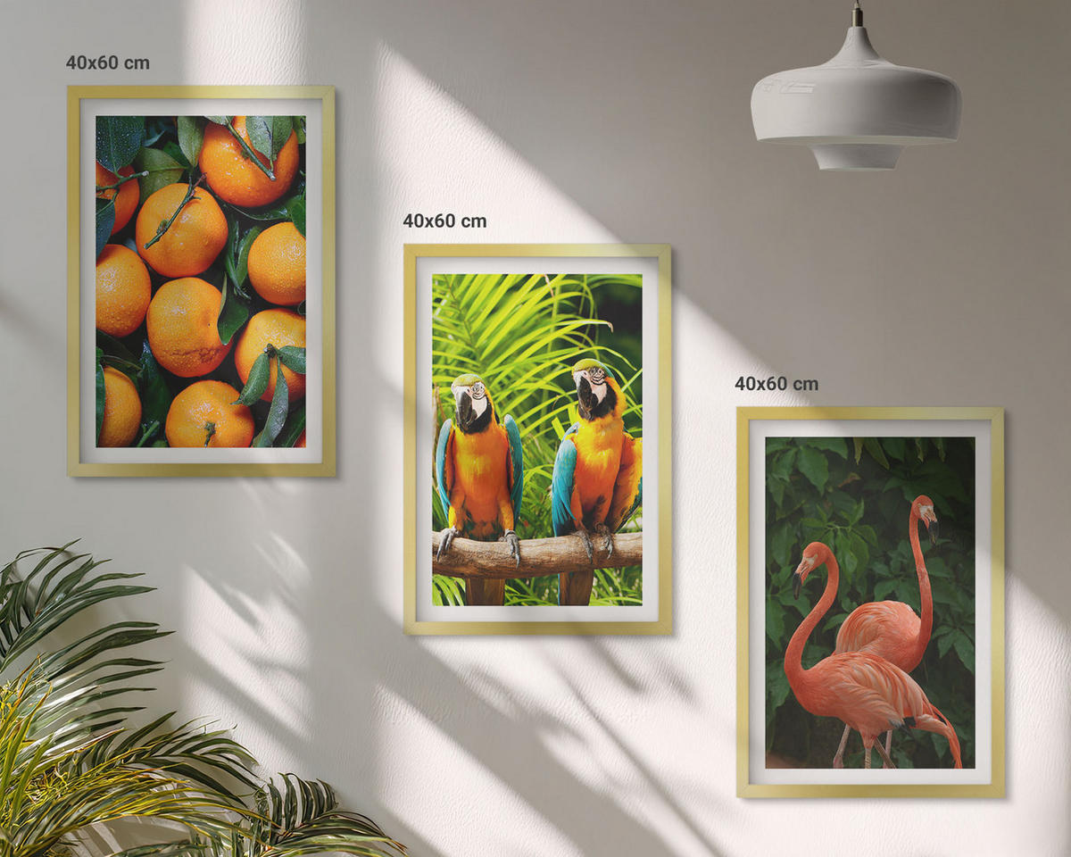 WANDBILDER 3er Set - 40x60 cm Goldrahmen - Fruchtige Akzente in den Tropen - Goldfarben, Kunststoff (40/60cm) - ArtPrintCave
