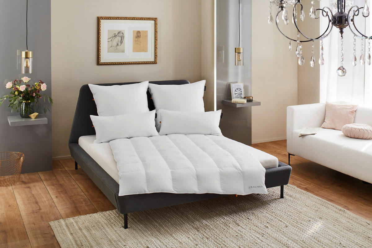 DAUNENBETTDECKE 100% DAUNE REGINA LUXUS leicht 155x220cm - Weiß, Textil (155/220cm) - REGINA HOME SLEEP LIVING EST. 1967