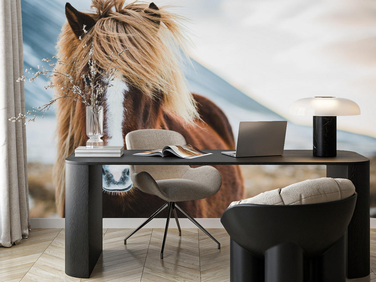 FOTOTAPETE für Schlafzimmer Isländisches Wildpferd Portrait Wiese 200x140 - Beige/Braun, Papier (200/140cm) - Muralo