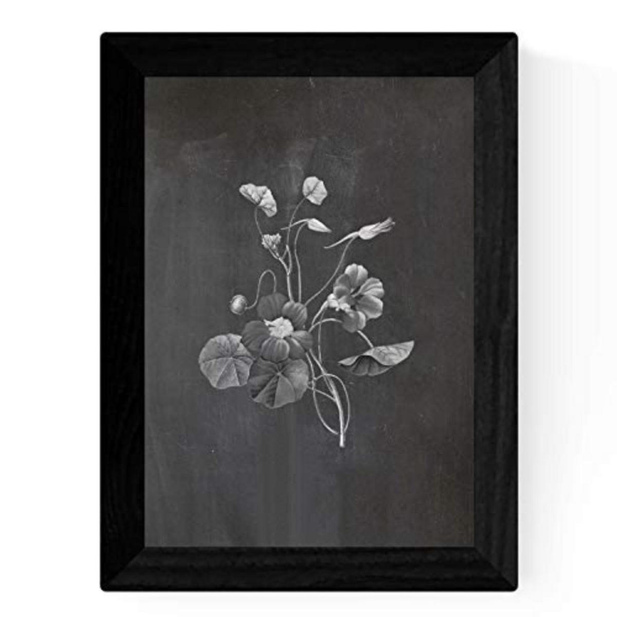 POSTER Set mit 4 Botanischen Stils Sensitive A3 Rahmenlos - Klar, Papier (29.7/3cm) - Nacnic
