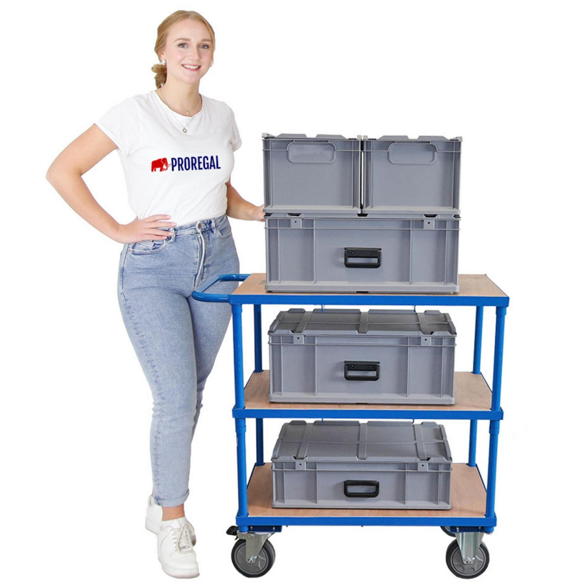 TISCHWAGEN mit 3 Etagen 99x98x50cm Traglast 400kg Lichtblau - Blau, Metall (50/98/99cm) - PROREGAL