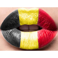 LEINWAND Bild Flaggen Belgien 30/40 cm - Multicolor, Textil (40/30cm) - TiborTex