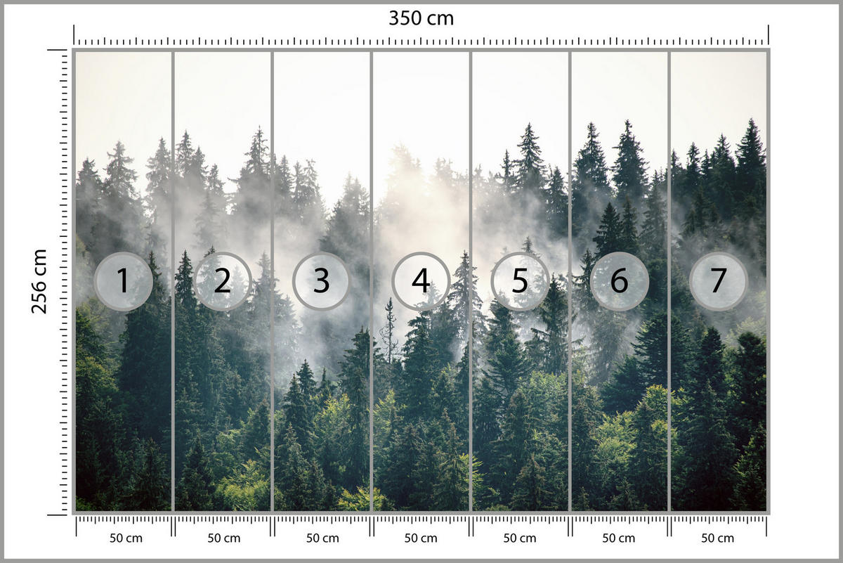 FOTOTAPETA Pre Obývaciu Izbu Hmlový Ihličnatý Les Hora Mystika Stromy 350 x 256 cm - biela/zelená, papier (350/256cm) - Muralo
