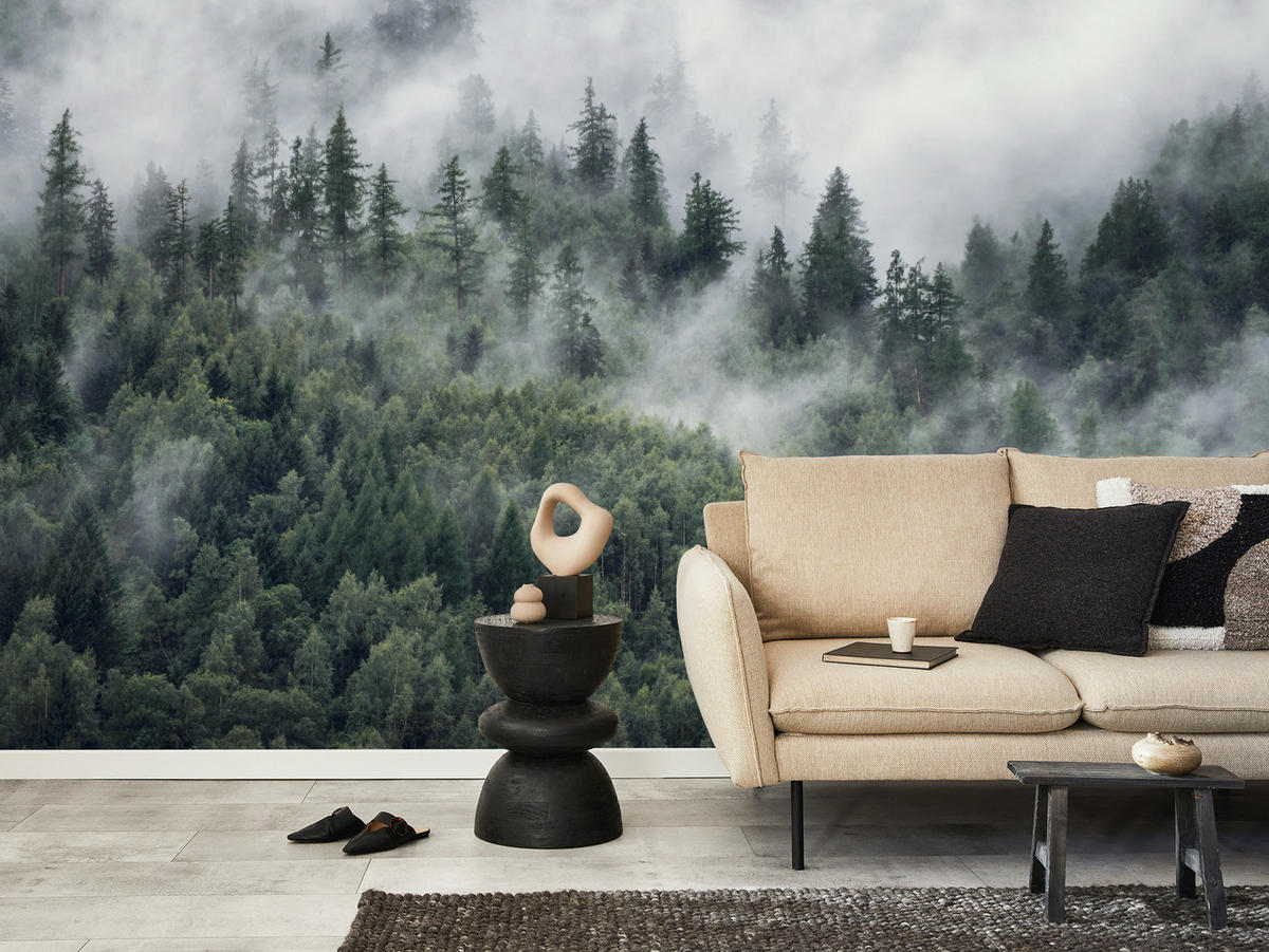 FOTOTAPETE für Schlafzimmer Morgennebel Nadelwald Bäume 500x350 - Weiß/Grau, Papier (500/350cm) - Muralo