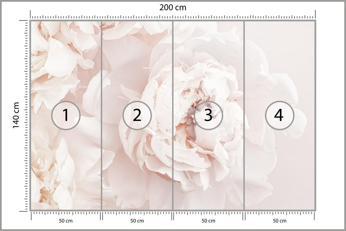 FOTOTAPETE für Schlafzimmer Pfingstrosen Blumen 3D 200x140 - Beige/Rosa, Papier (200/140cm) - Muralo