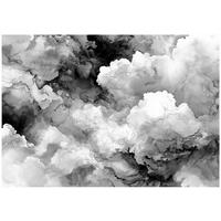 FOTOTAPETE Abstrakt Marmor Schwarzweiß 250x175 cm - Multicolor, Papier (250/175cm) - Wallarena