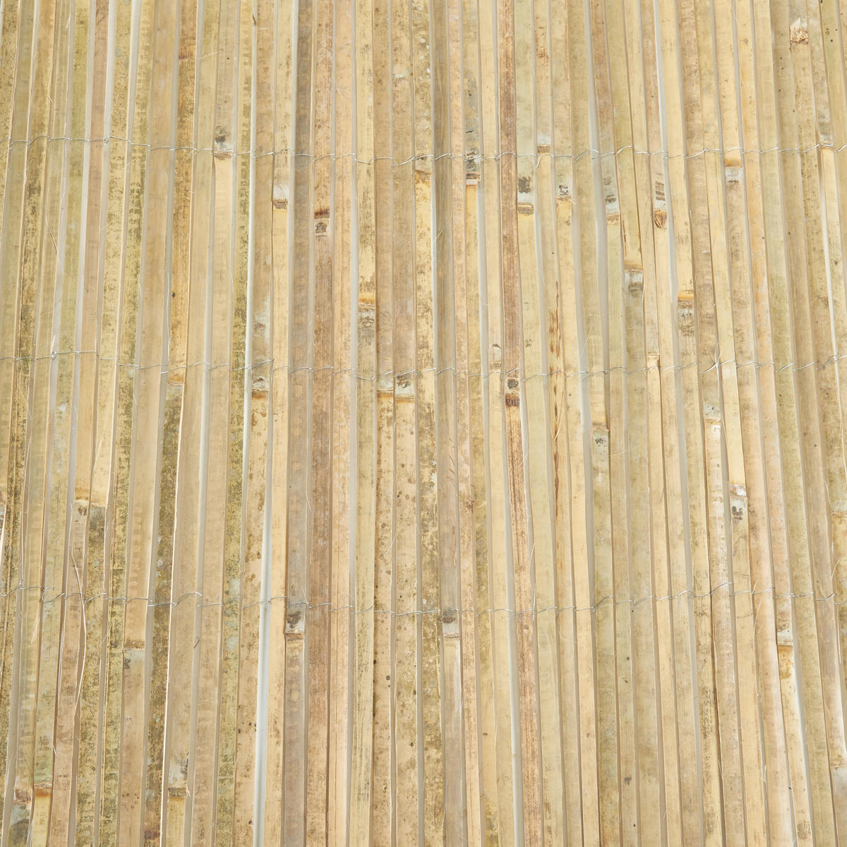 BAMBUSZAUN Baarle - Naturfarben, Naturmaterialien (300/180cm) - casa.pro