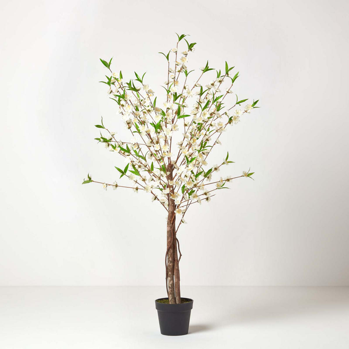 KUNSTBAUM Blüten creme, 155 cm hoch - Creme, Kunststoff (150cm) - Homescapes