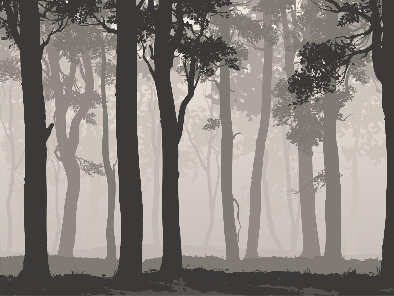 FOTOTAPETE bewaldete Landschaft 375 x 270 cm - Schwarz, Papier (375/270cm) - Sanders & Sanders