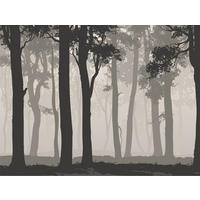 FOTOTAPETE bewaldete Landschaft 375 x 270 cm - Schwarz, Papier (375/270cm) - Sanders & Sanders