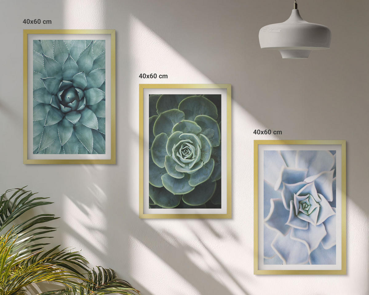 WANDBILDER 3er Set - 40x60 cm Goldrahmen - Sukkulente Pflanzen grün türkis - Goldfarben, Kunststoff (40/60cm) - ArtPrintCave
