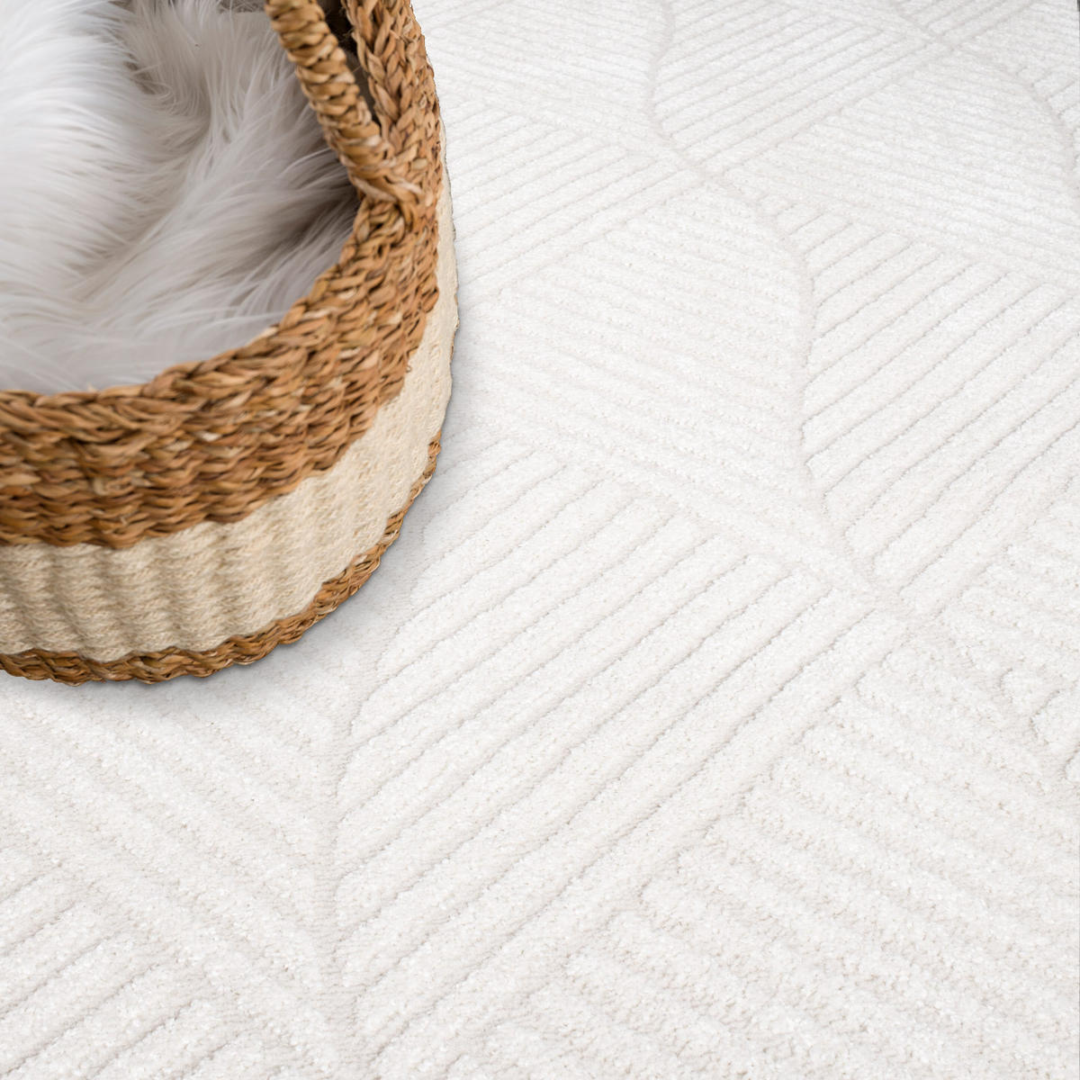 KURZFLOR-TEPPICH Fancy 904 Weiss 80x300 cm - Weiß, Textil (80/300cm) - carpet city