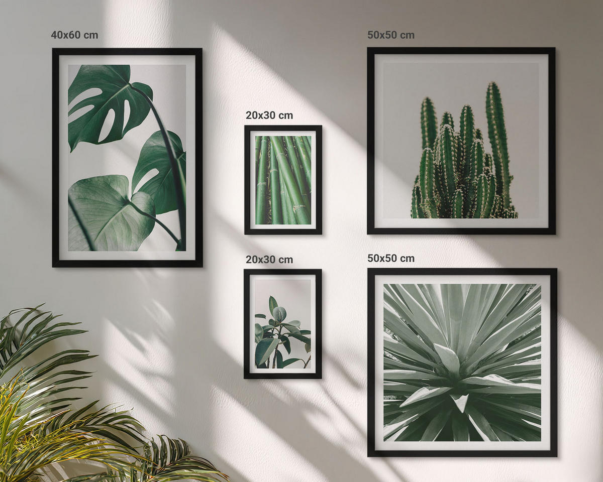 WANDBILDER 5er-Set - 50x50 cm & 20x30 cm & 40x60 cm Schwarzer Rahmen - Bambusblätter - Schwarz, Kunststoff (40/60cm) - ArtPrintCave