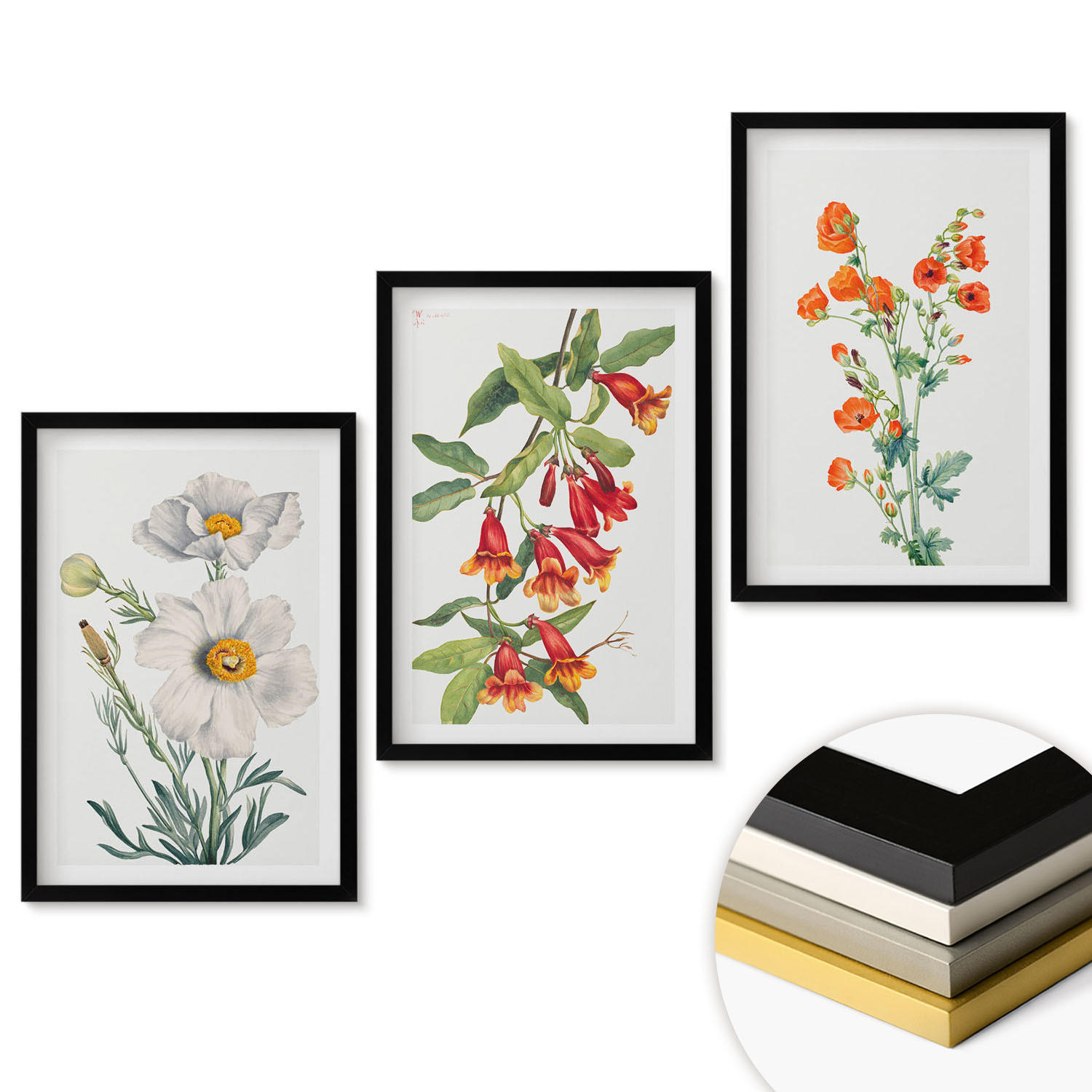 ArtPrintCave Wandbilder Schwarz 40x60 cm