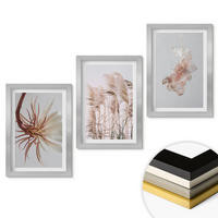 WANDBILDER 3er Set - 20x30 cm Silberner Rahmen - Set aus Gras, Blumen und hellem Hintergrund - Silberfarben, Kunststoff (20/30cm) - ArtPrintCave