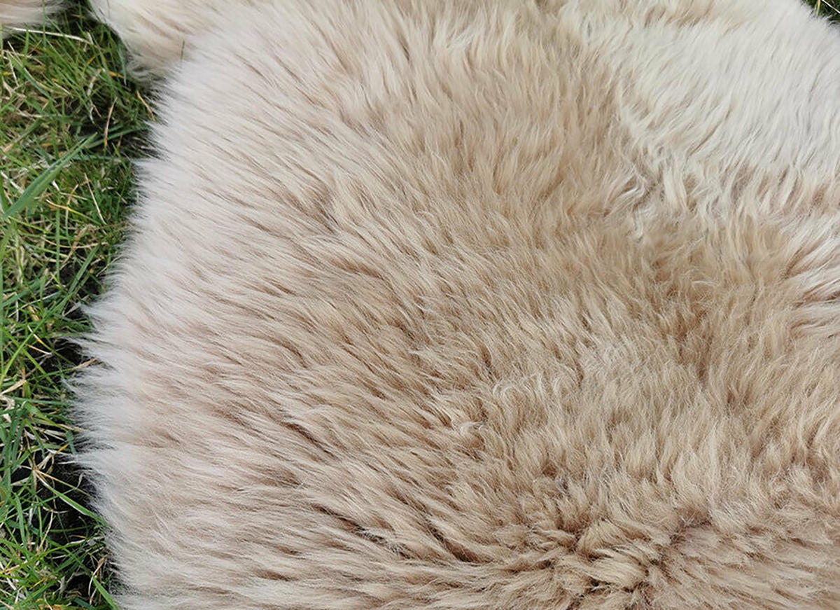 SCHAFFELL Natur Lammfell Weich Flauschig Wohnteppich, Cappuccino, ca. 130 cm - Cappuccino, Fell (70/130cm) - Provellus