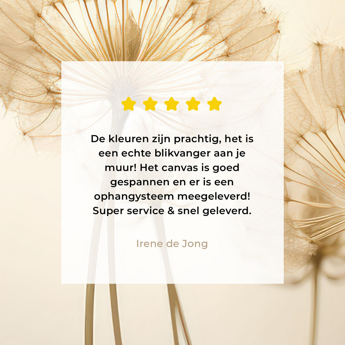 LEINWANDBILD Sonnenlicht - Löwenzahn - Botanisch - Blumen Deko Groß 90x90 cm - Creme, Textil (90/90cm) - MuchoWow