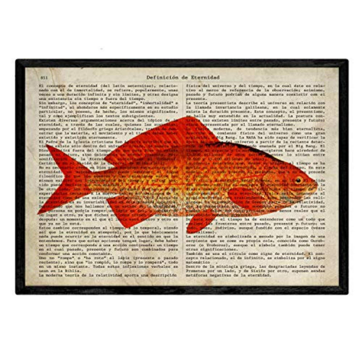 POSTER Set mit 4 Enzyklopädie mit Fische in verschiedenen Farben A4 Schwarzer Rahmen - Schwarz, Papier (29.7/3cm) - Nacnic