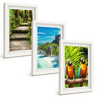 BILDER SET 3er Set - 20x30 cm Weißer Rahmen - Tropischer Wald Papageienwasserfall - Weiß, Kunststoff (20/30cm) - TULUP