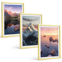 BILDER SET 3er Set - 40x60 cm Goldrahmen - Berglandschaften im Hintergrund - Goldfarben, Kunststoff (40/60cm) - TULUP
