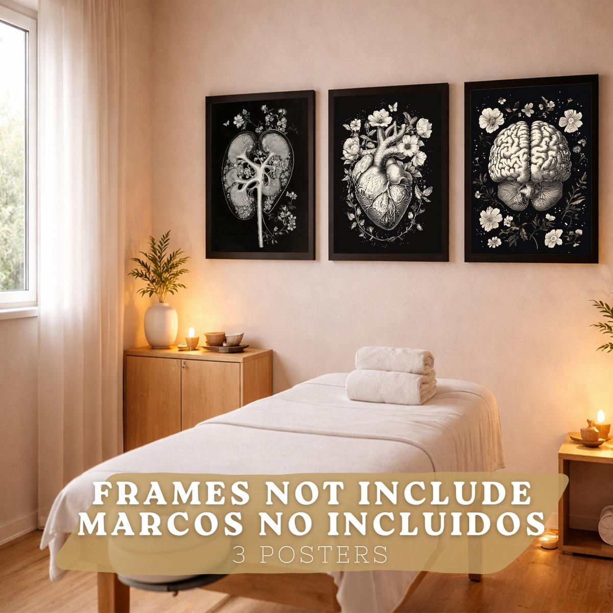 POSTER Set aus 3 Anatomie Mensch Drucke und Wandbilder mit Niere Harnsystem Gehirn und Herz Klassisches Schwarz Weiß Design Größe Rahmenlos A3 - Klar, Papier (29.7/42/3cm) - Nacnic