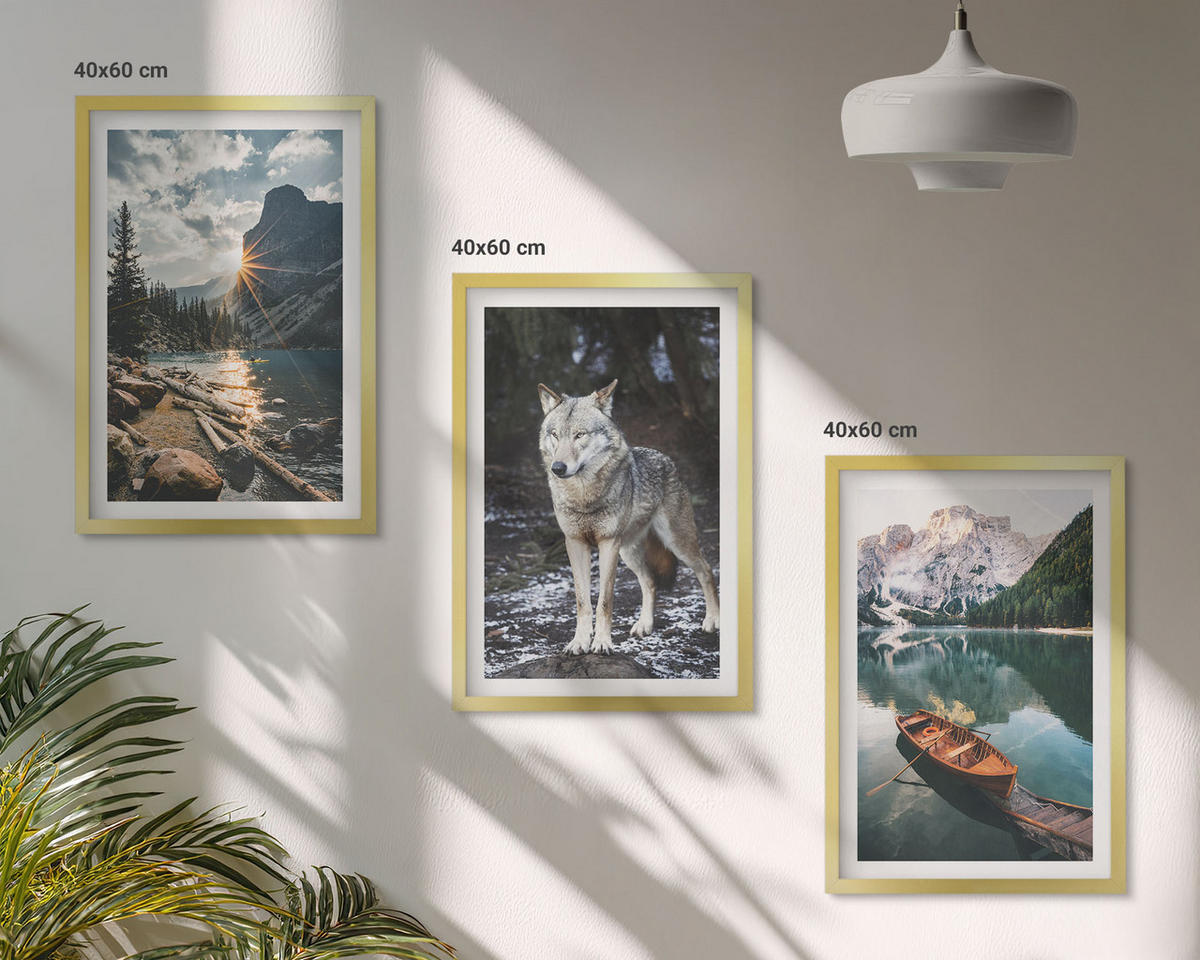 BILDER SET 3er Set - 40x60 cm Goldrahmen - Berge, Seen, Wölfe, Natur - Goldfarben, Kunststoff (40/60cm) - TULUP