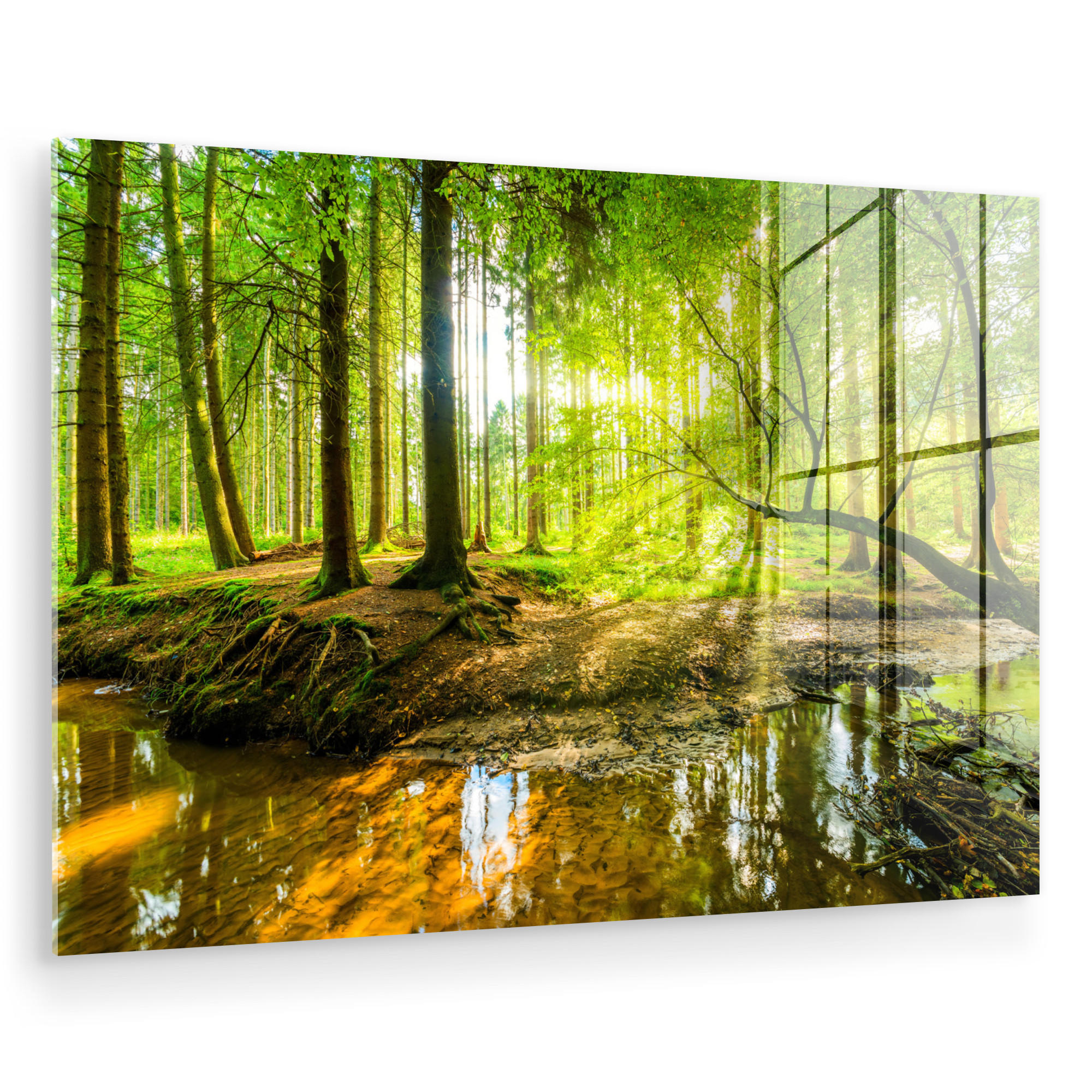 ACRYLGLASBILD Wald - Landschaft - Wasser - Bäume - Sonne - Grün - Natur 60x40 cm - Grün, Glas (60/40cm) - MuchoWow