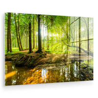 ACRYLGLASBILD Wald - Landschaft - Wasser - Bäume - Sonne - Grün - Natur 120x80 cm - Grün, Glas (120/80cm) - MuchoWow
