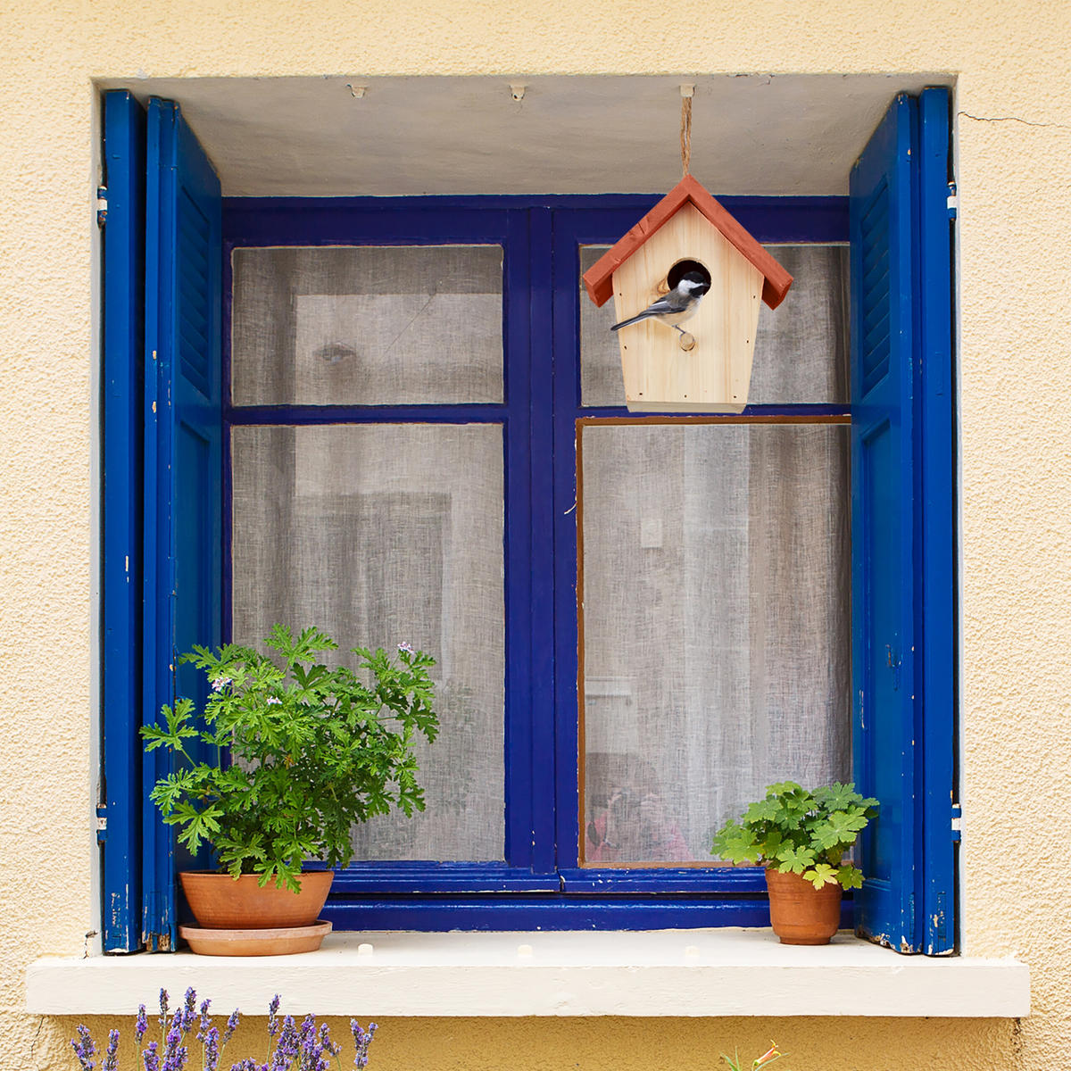 DEKO-VOGELHAUS - Multicolor, Holz (15/16/11cm) - Relaxdays