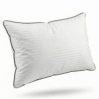 VANKÚŠ s výplňou z nanovlákien, 40x80 cm - biela, textil (40/80cm) - Blumtal