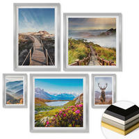 WANDBILDER 5er Set - 50x50 cm & 20x30 cm & 40x60 cm Silberner Rahmen - Berglandschaft, See, Hirsche - Silberfarben, Kunststoff (40/60cm) - ArtPrintCave