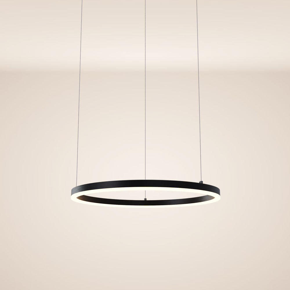 LED-HÄNGELEUCHTE Ring Direkt/Indirekt 5m Schwarz Ø 60cm - Schwarz, Metall (60/60/3.3cm) - s.luce