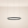 LED-HÄNGELEUCHTE Ring Direkt/Indirekt 5m Schwarz Ø 60cm - Schwarz, Metall (60/60/3.3cm) - s.luce