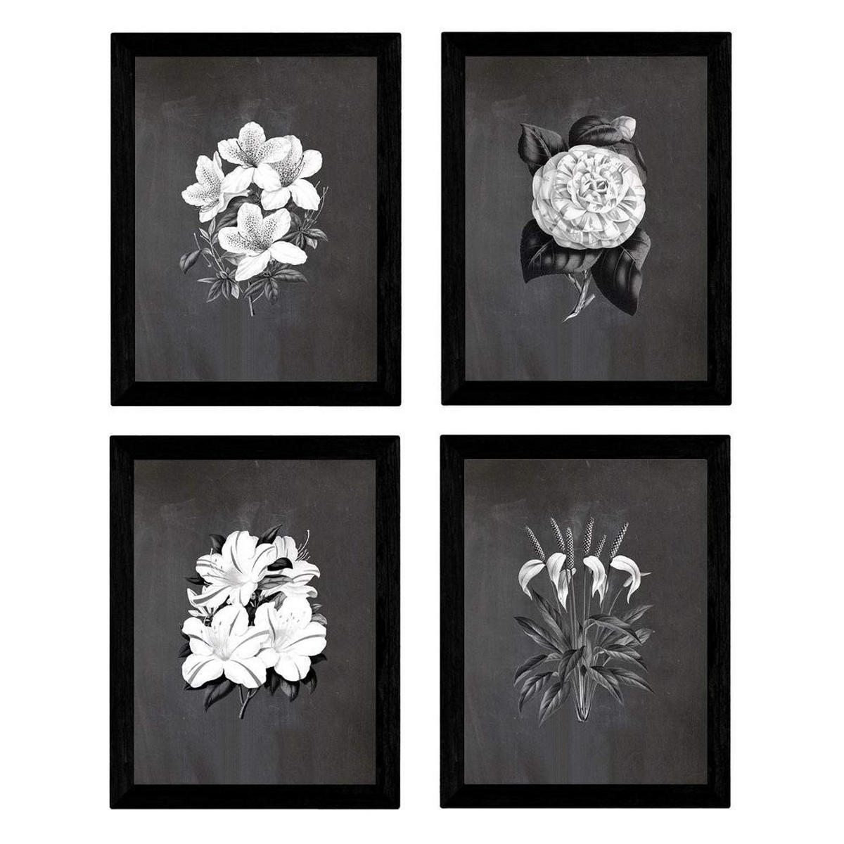 POSTER Set mit 4 Botanische Schwarz Hintergrund Lila Blumen A3 Rahmenlos - Klar, Papier (29.7/3cm) - Nacnic
